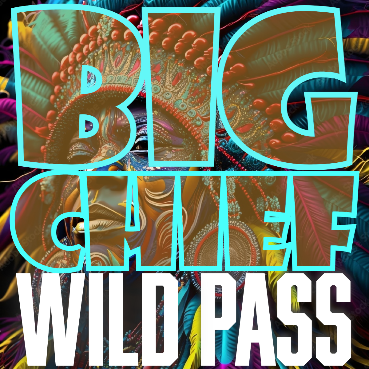 BiG CHiEF: WiLD PASS Membership Page